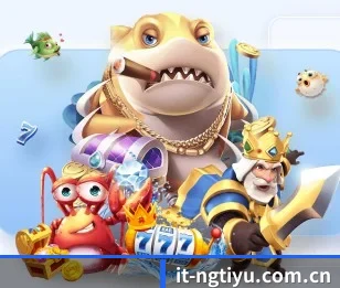 关于我们 - 体育资讯内容服务